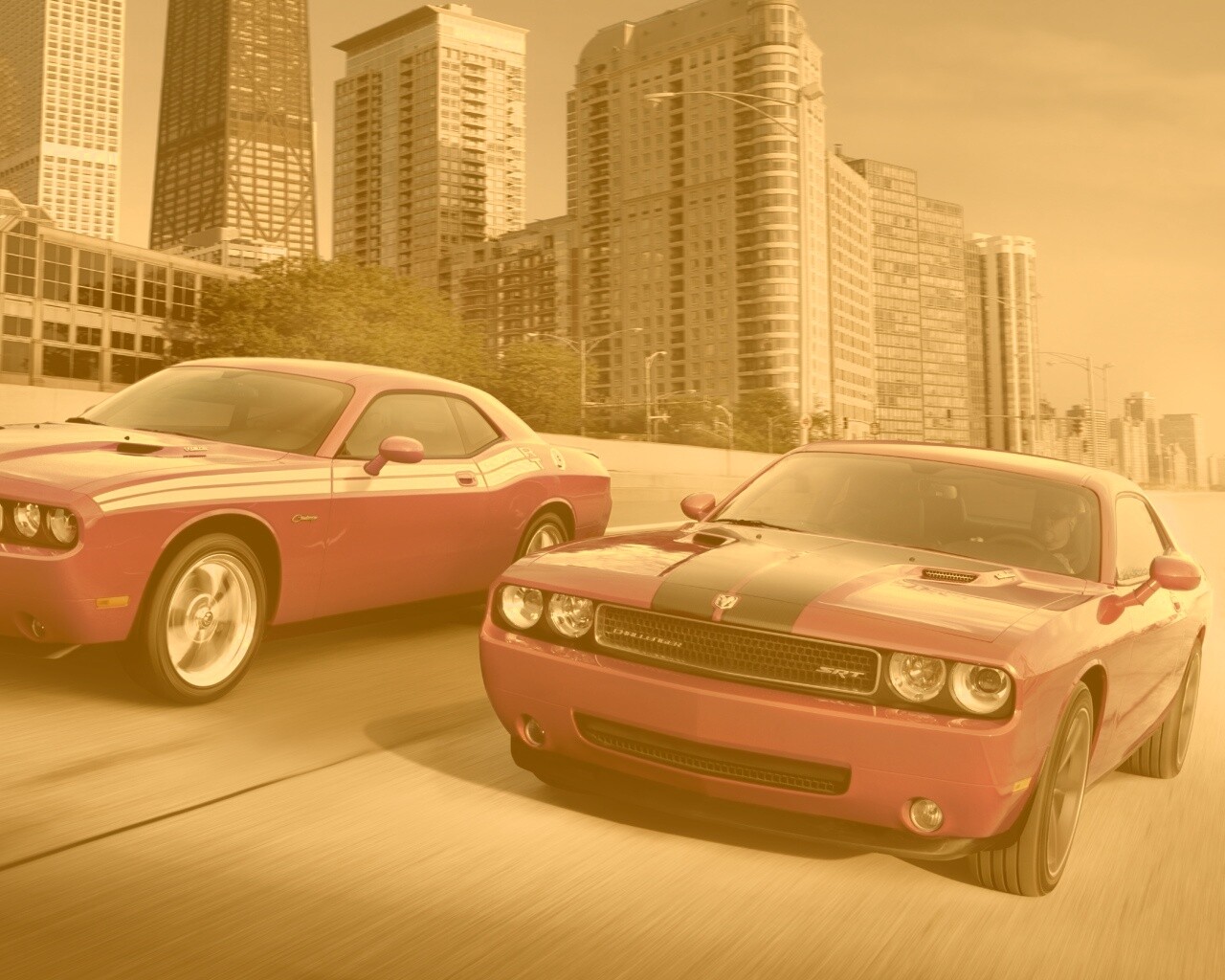 Два розовых мускулкара обои