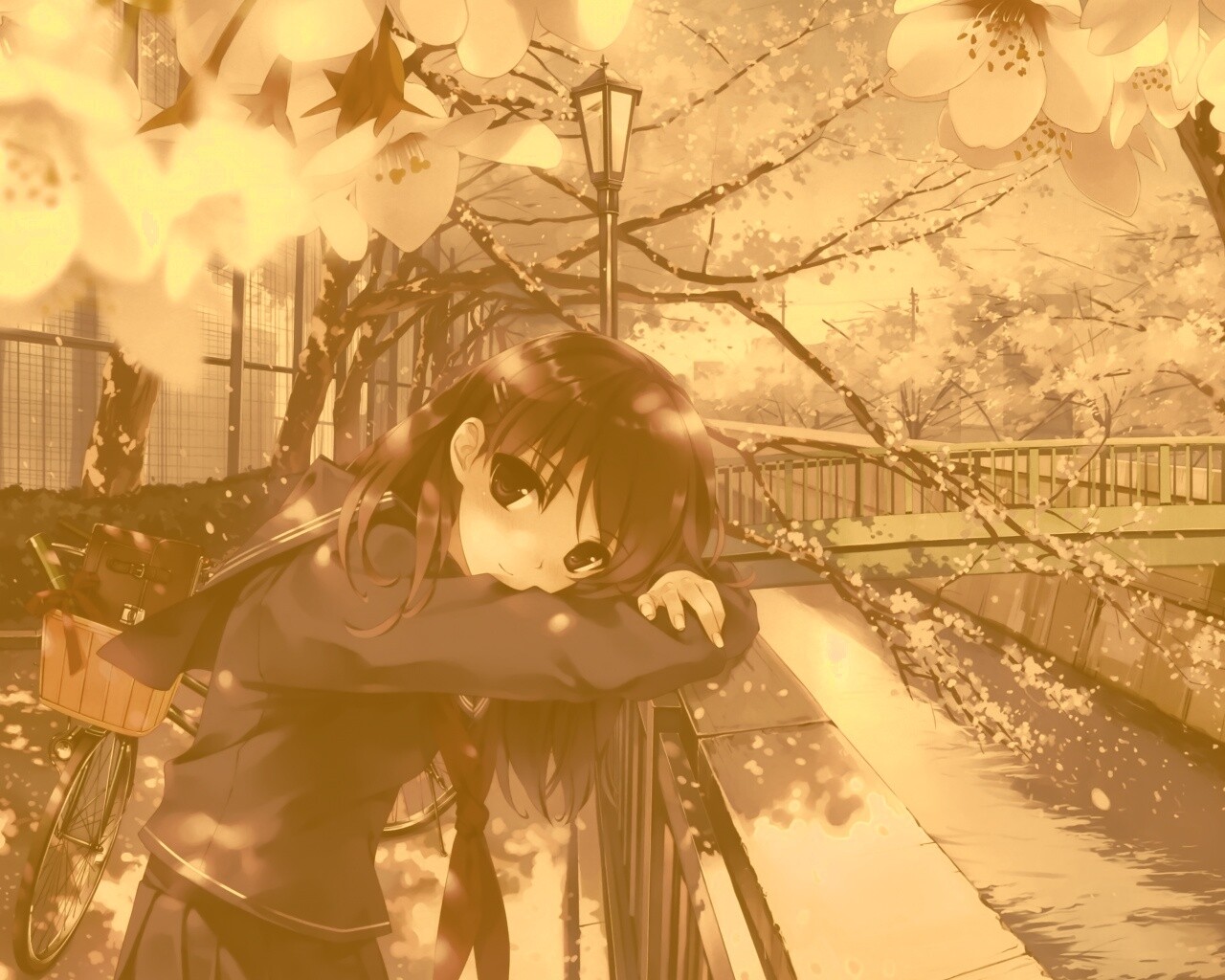 Девушка среди лепестков сакуры обои