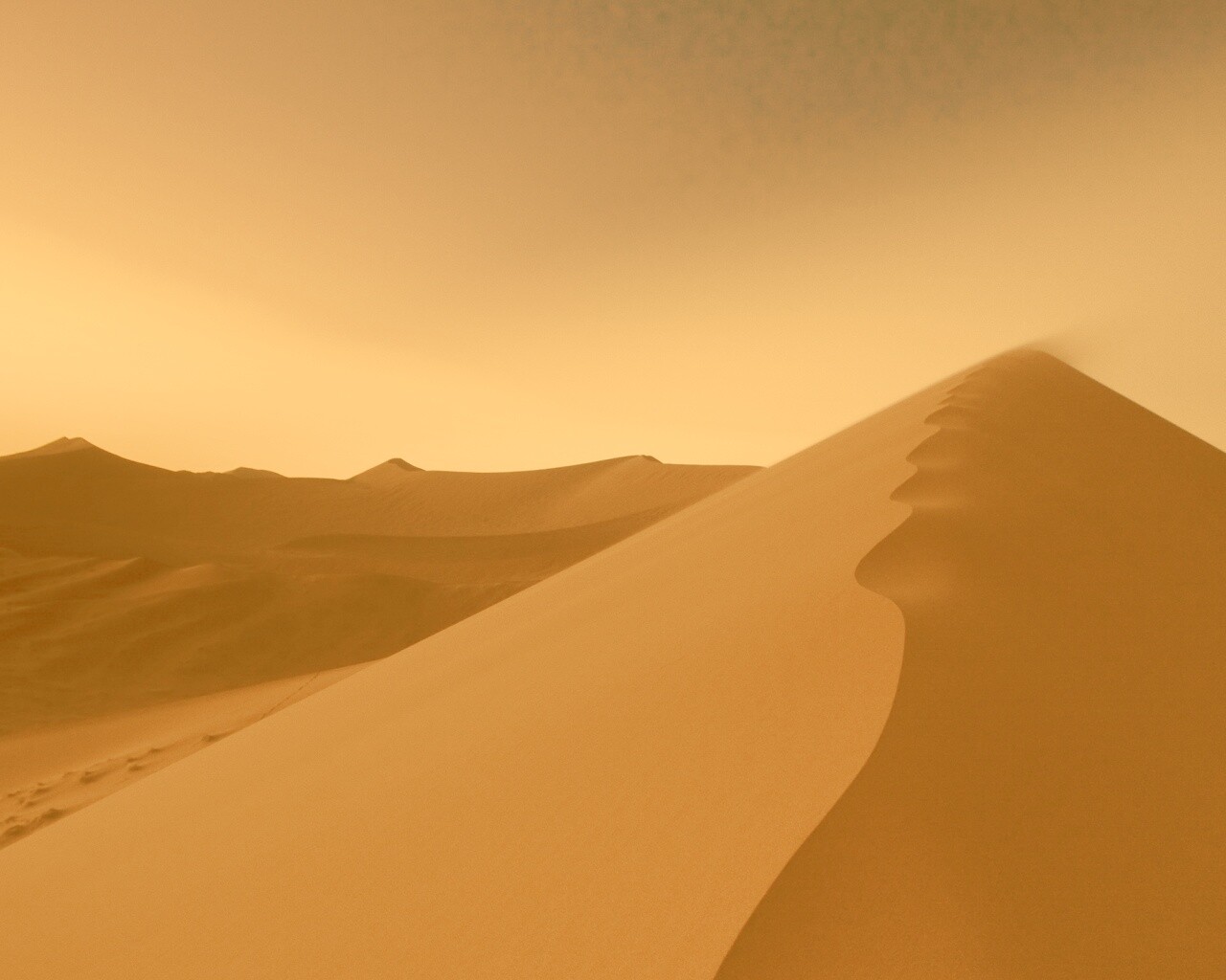 Люны в Намибии обои