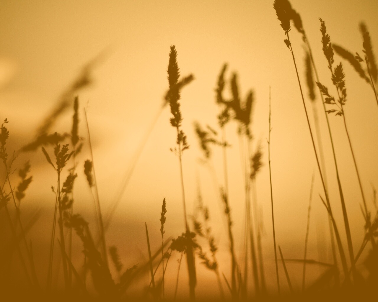 Дыхание природы обои