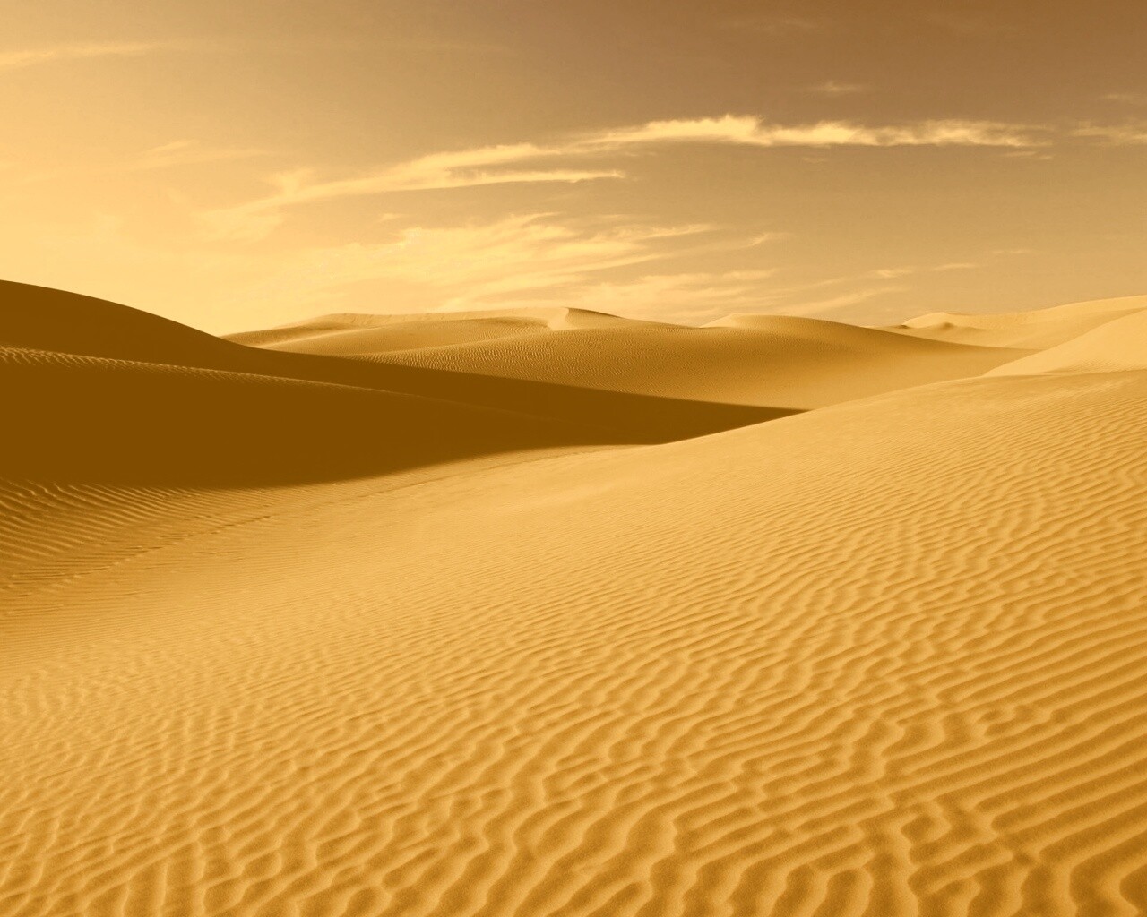Пустыня Сахара обои