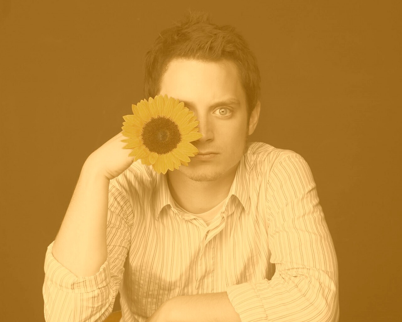 Элайджа Вуд обои