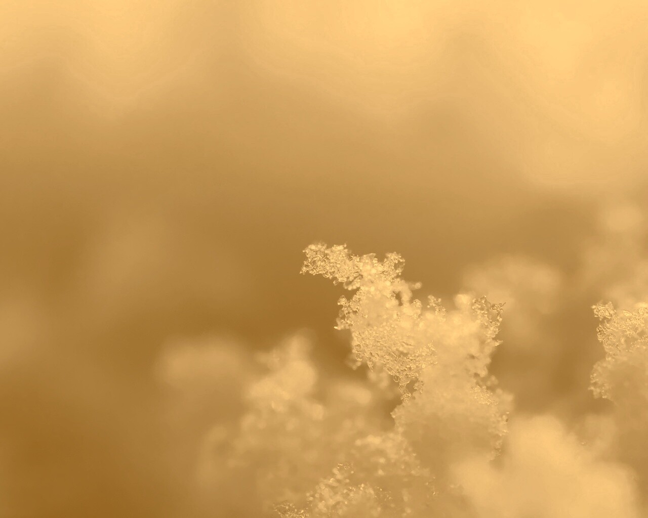 Макро фото снега обои