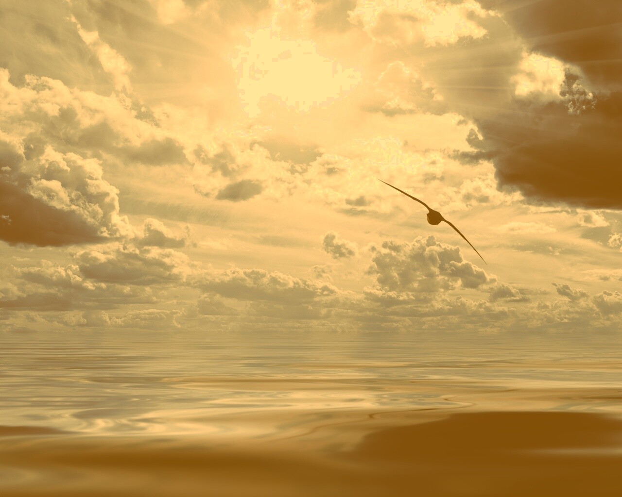 Лети как птица над волнами обои