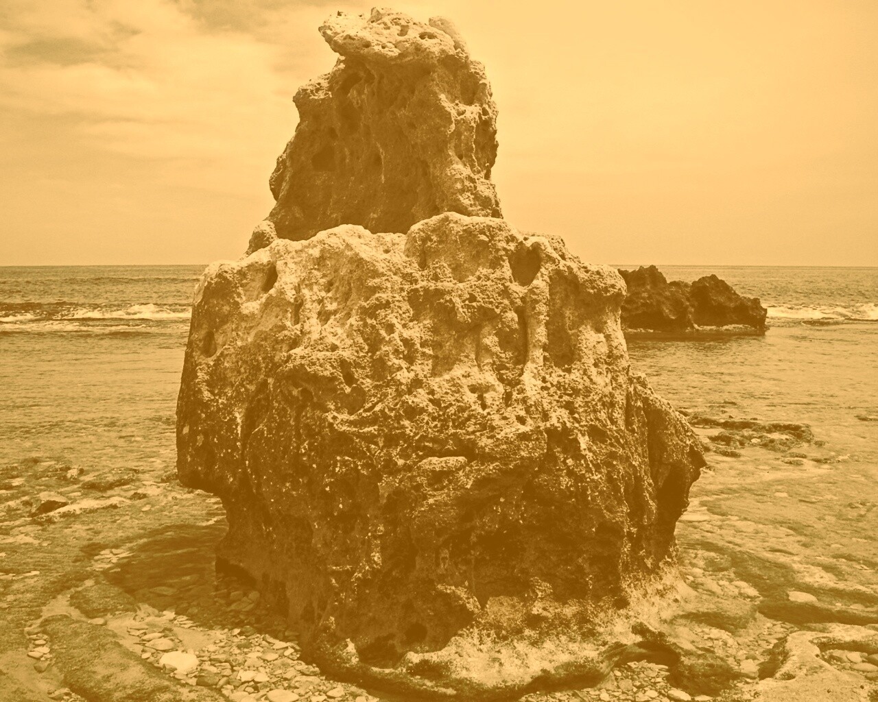 Коралловый риф обои