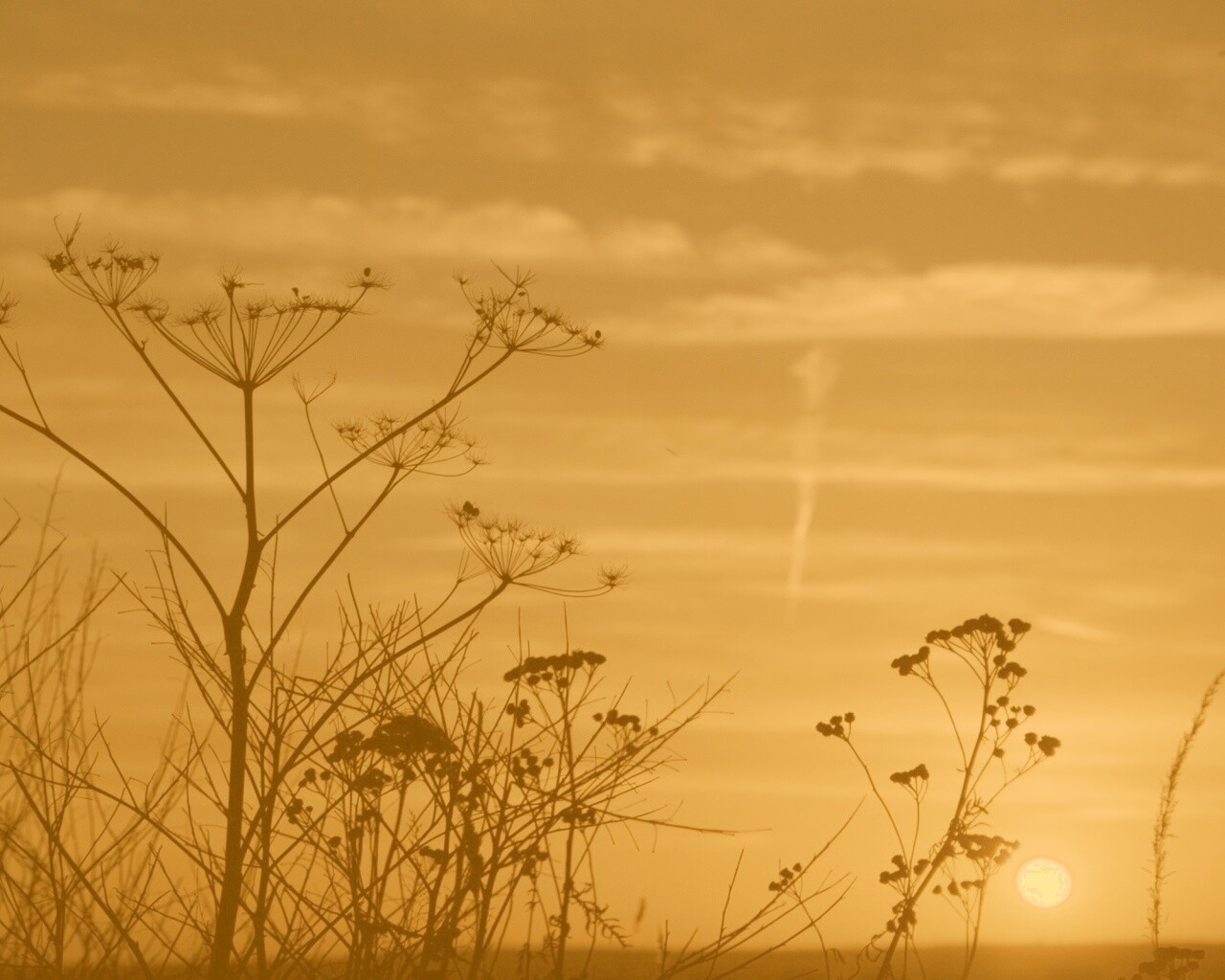Степной закат обои