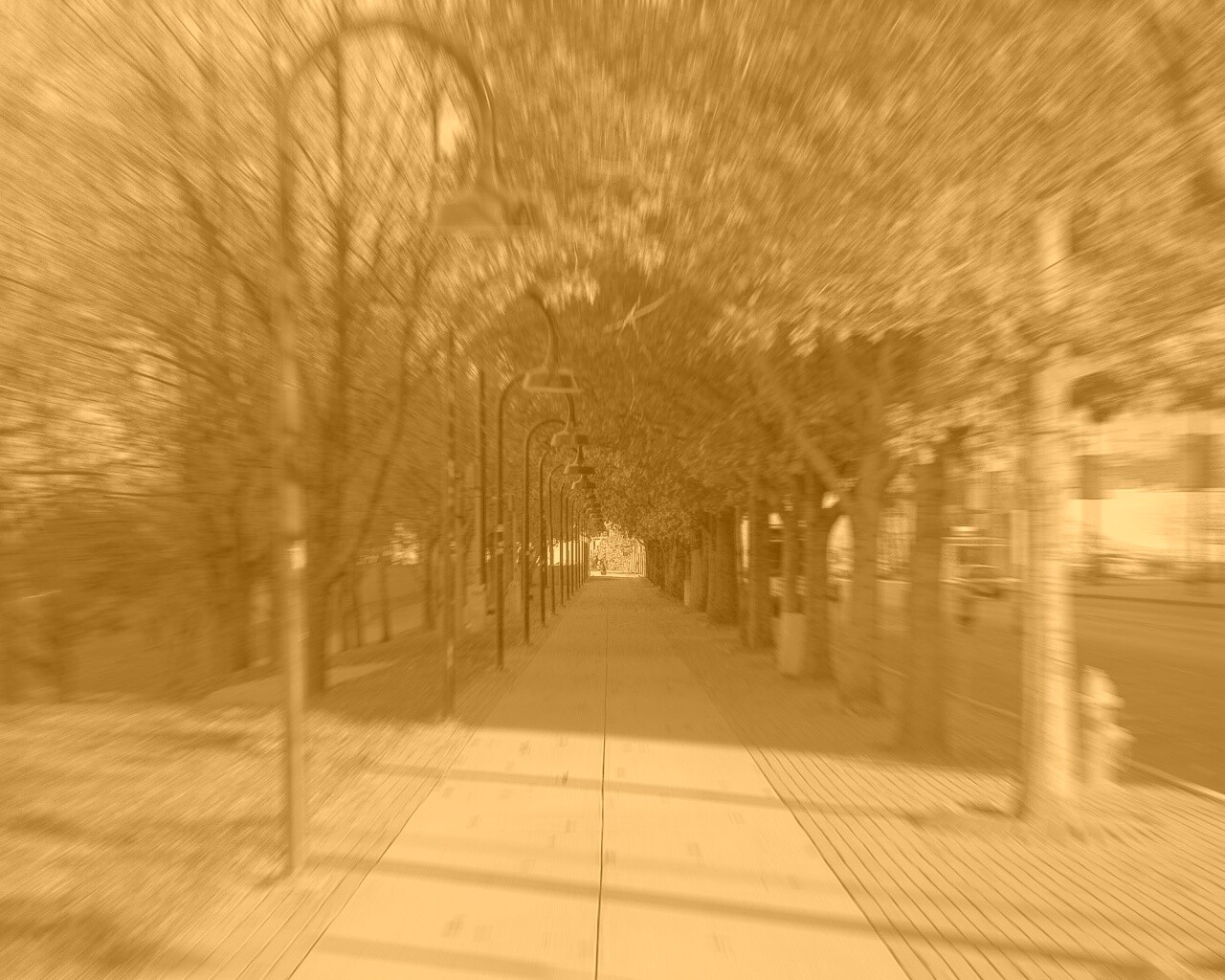 В парке обои