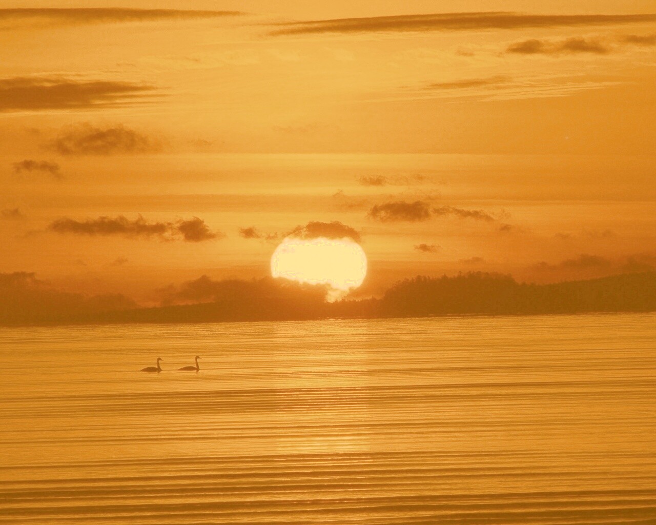 Великолепный рассвет обои