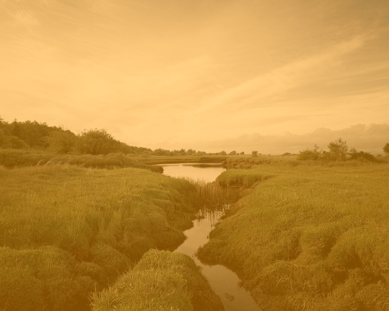 Канава и пруд обои