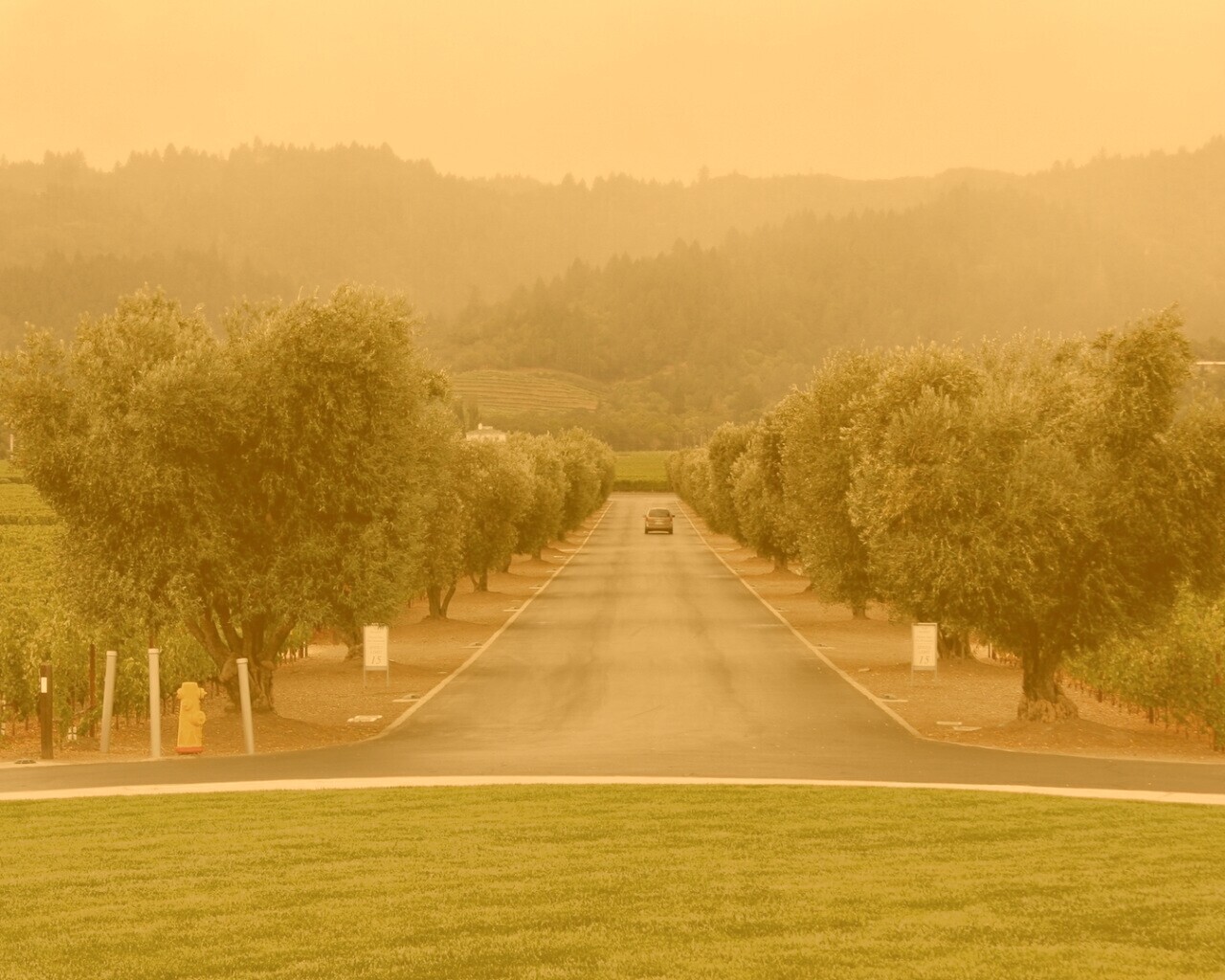 Сельский пейзаж обои
