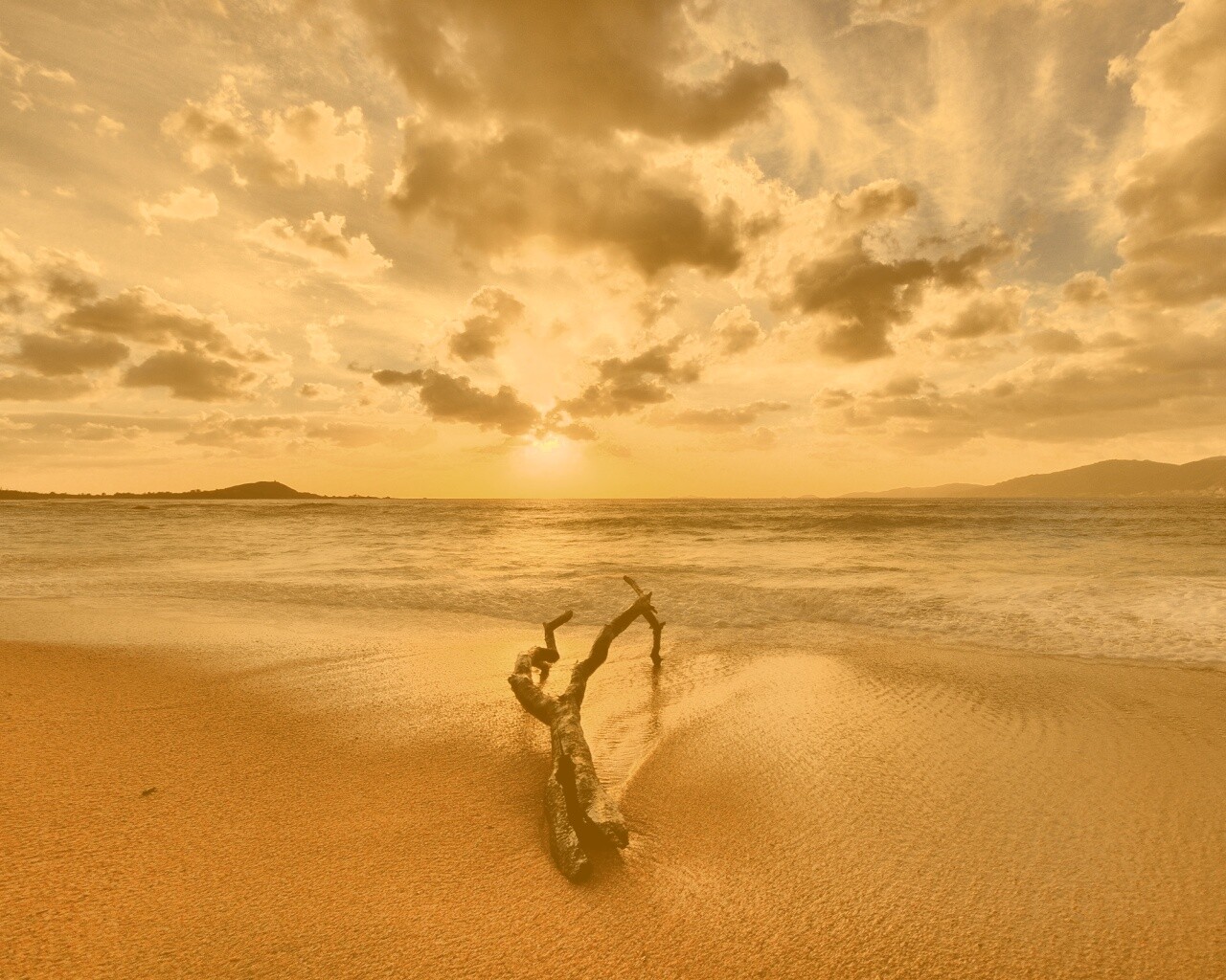 Коряга на пляже обои