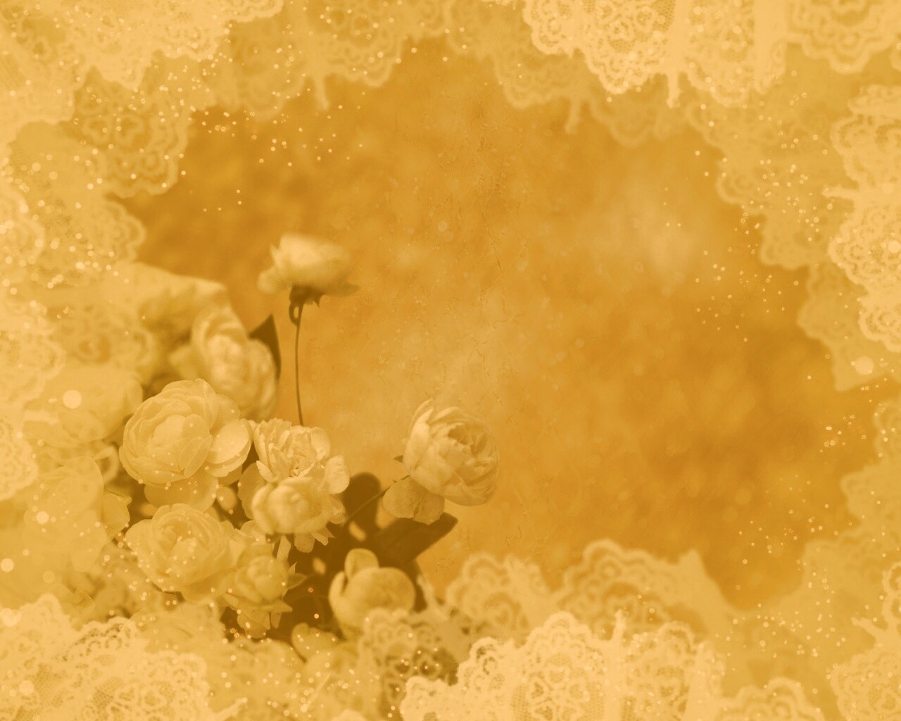 Бежевые кружева и розы обои