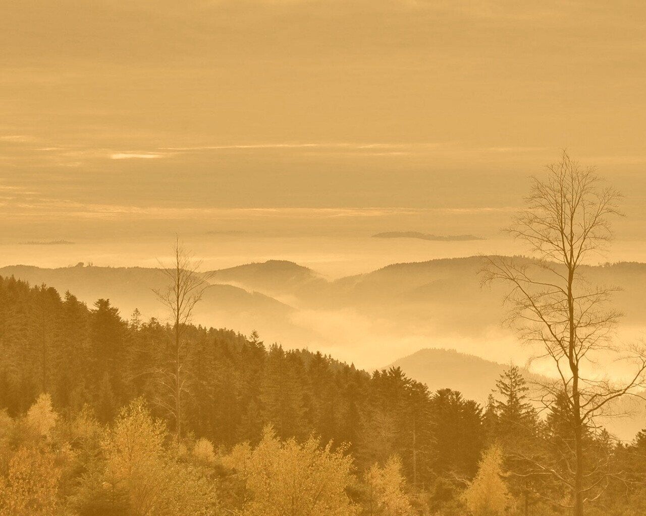 Холмы в тумане обои