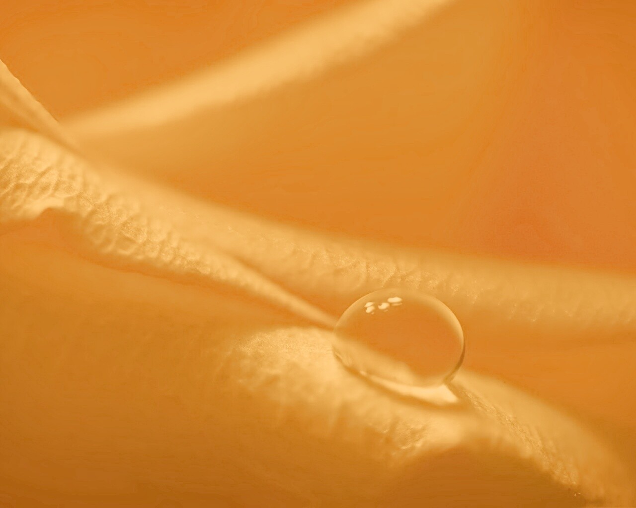 Капелька обои