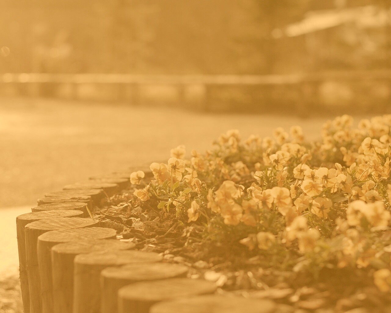 Красивая цветочная клумба обои