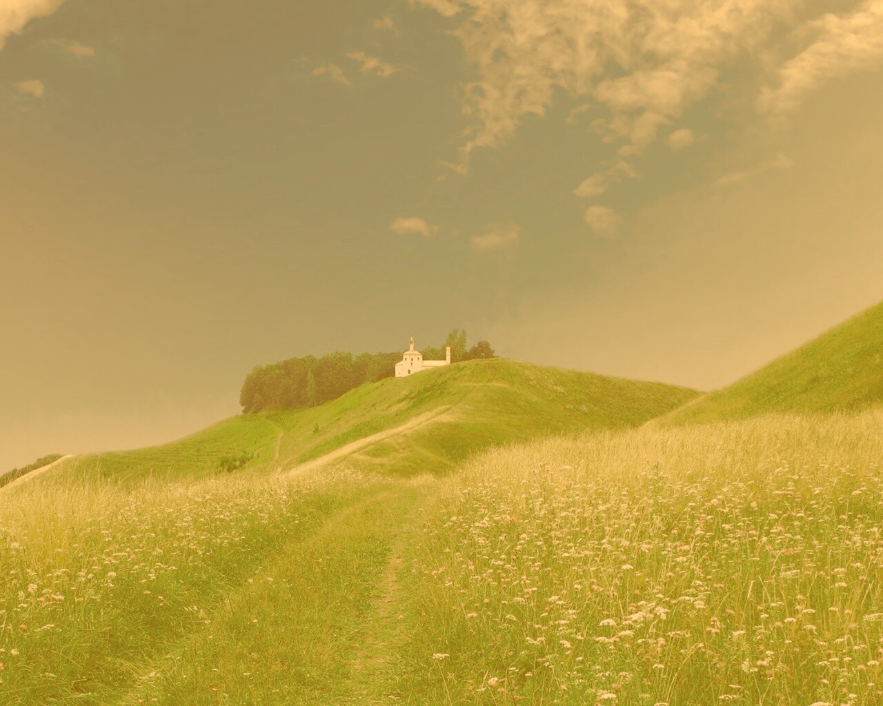 Летние холмы обои