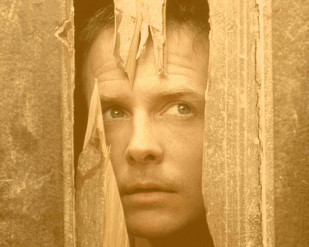 Страшилы обои