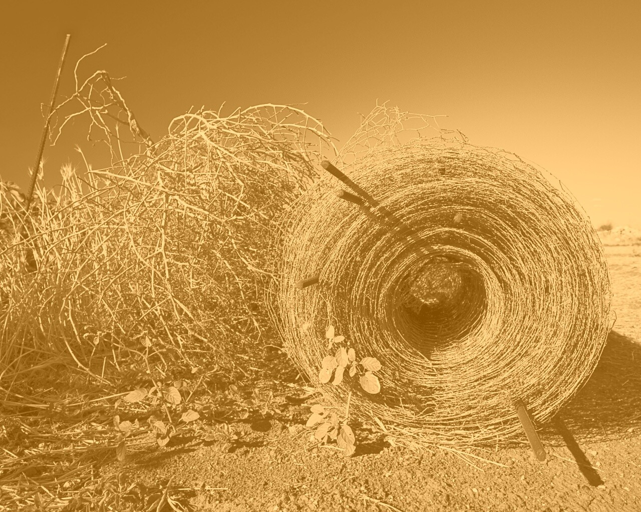 Клубок сена обои