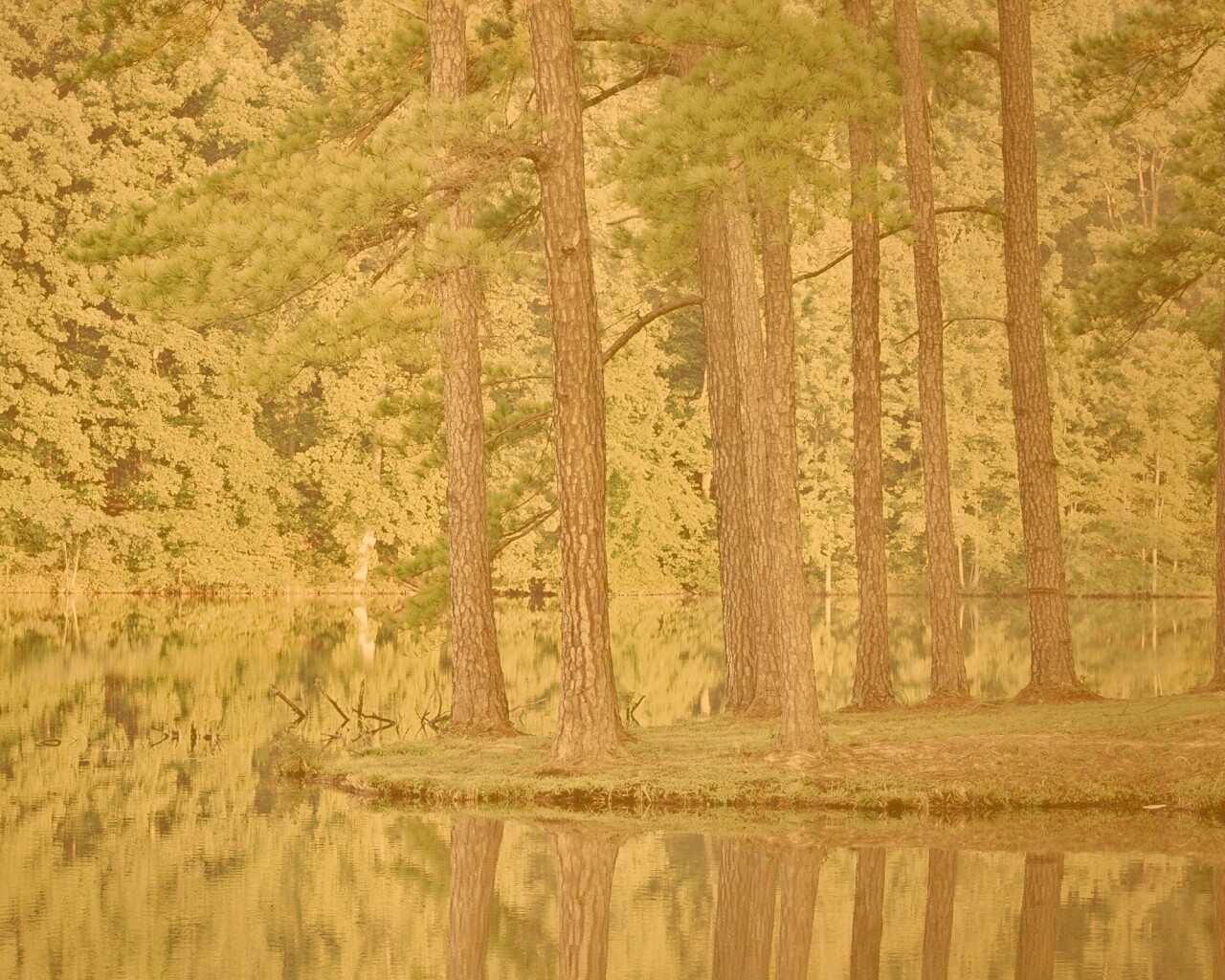 Островок посреди озера обои