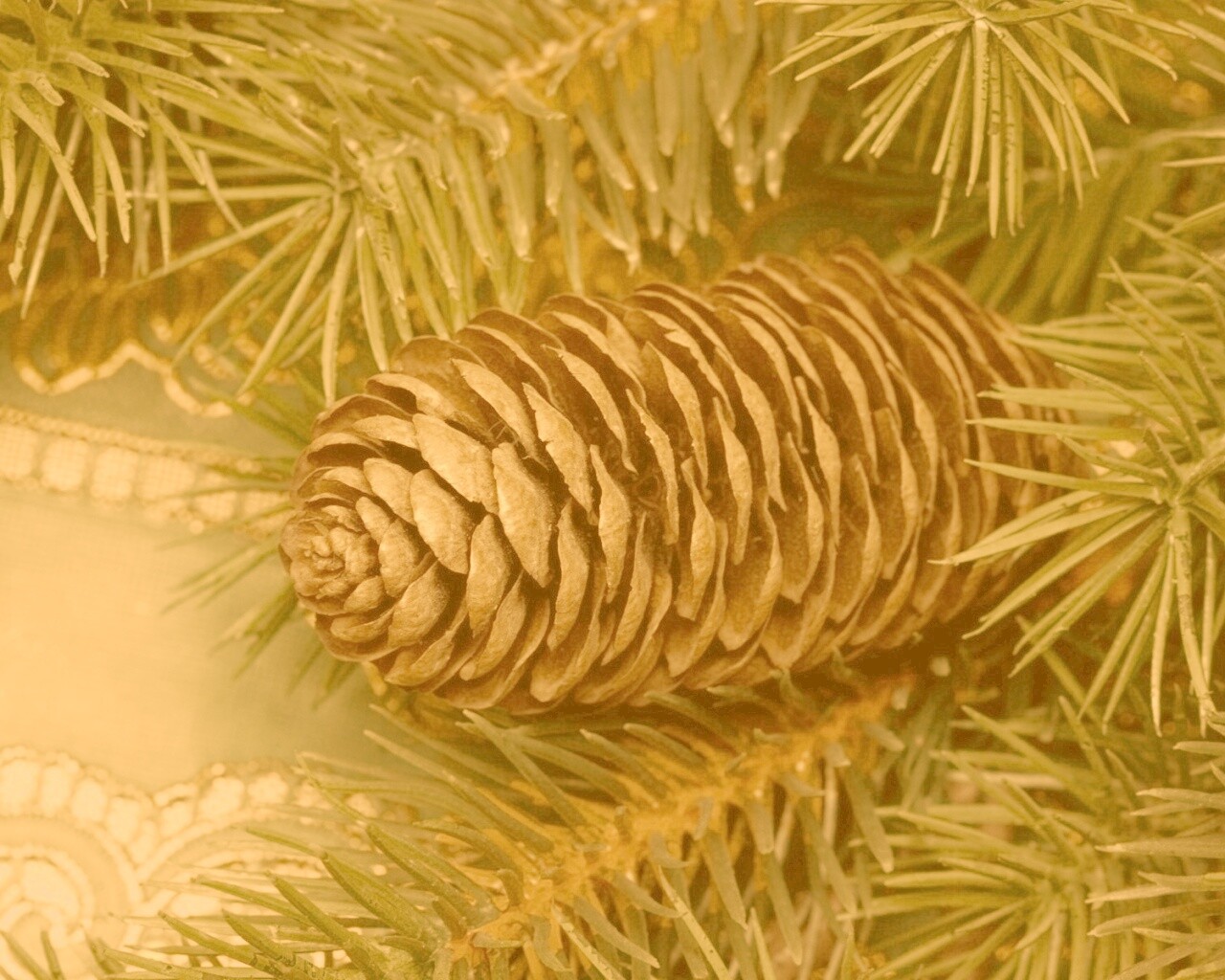 Шишка на елке обои