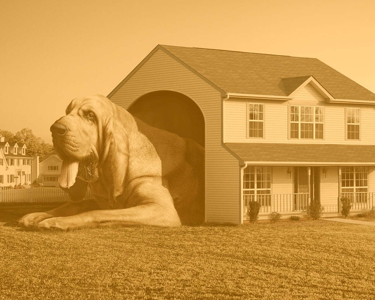 Действительно большая собака обои