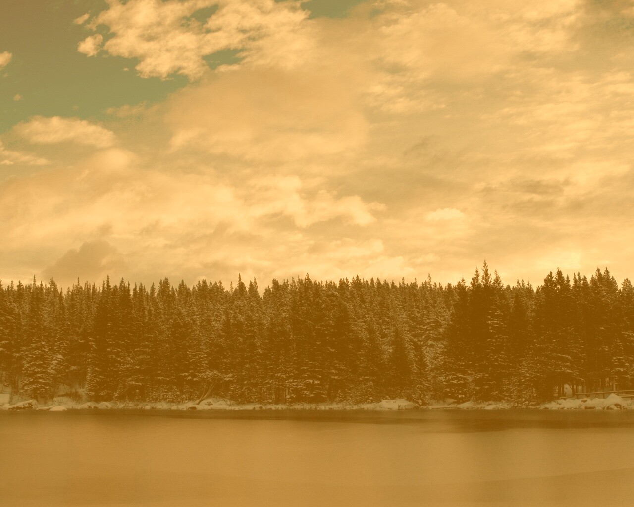 Лес на озере обои