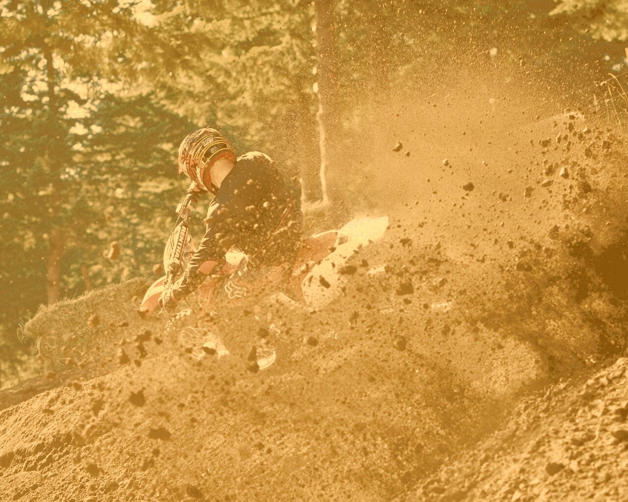 Моторалли обои