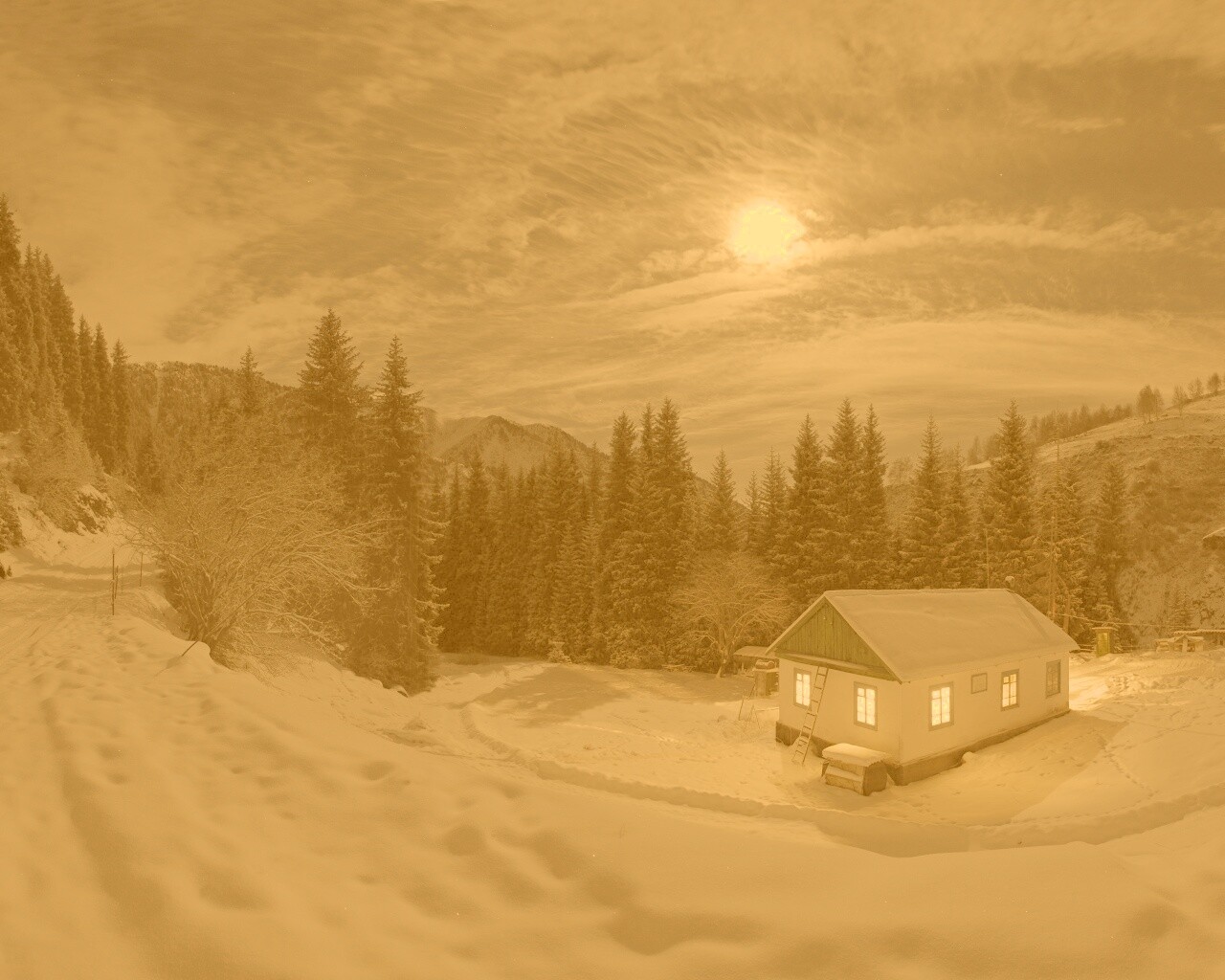 Один в зимнем лесу обои