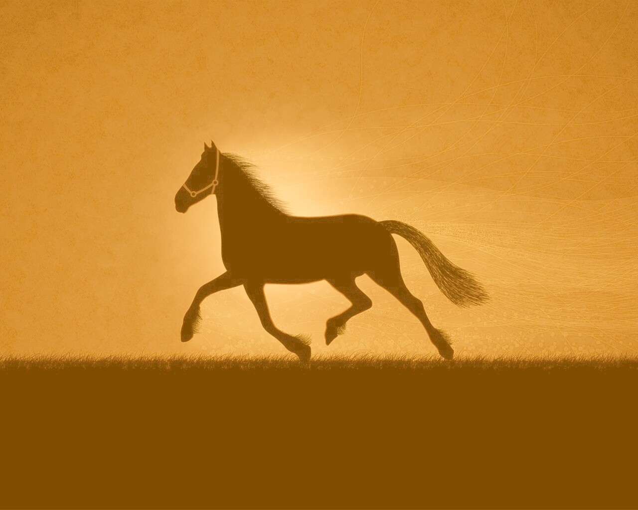 Силует коня на закате обои
