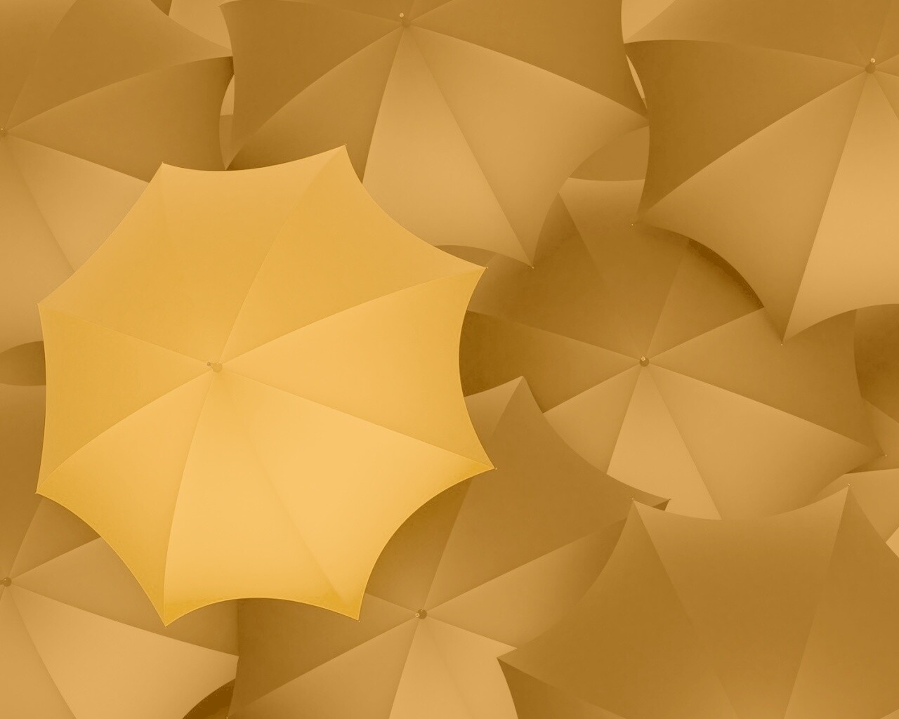 Жёлтый среди чёрных обои