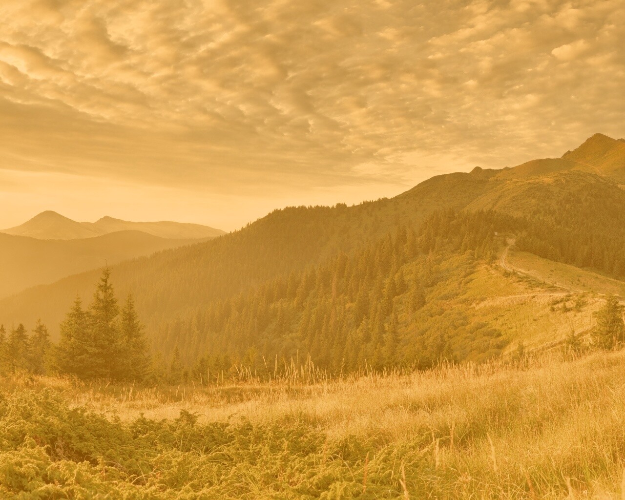 Предгорье обои