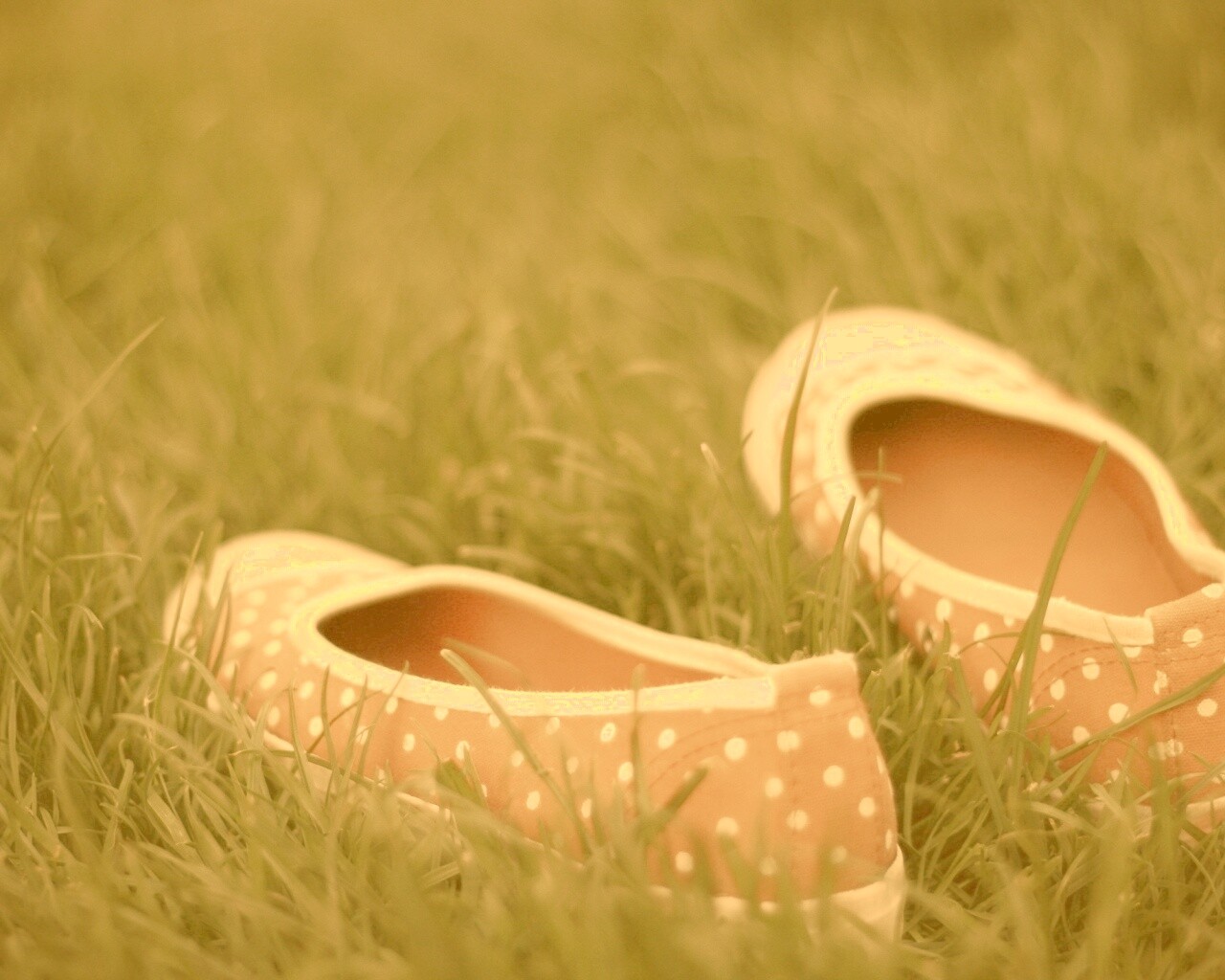 Красные тапки в горошек обои