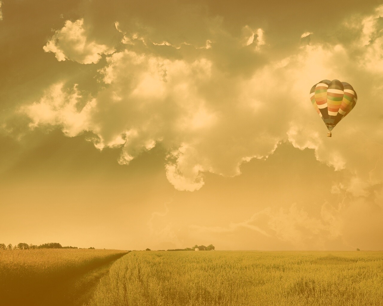 Воздушный шар над зеленым лугом обои