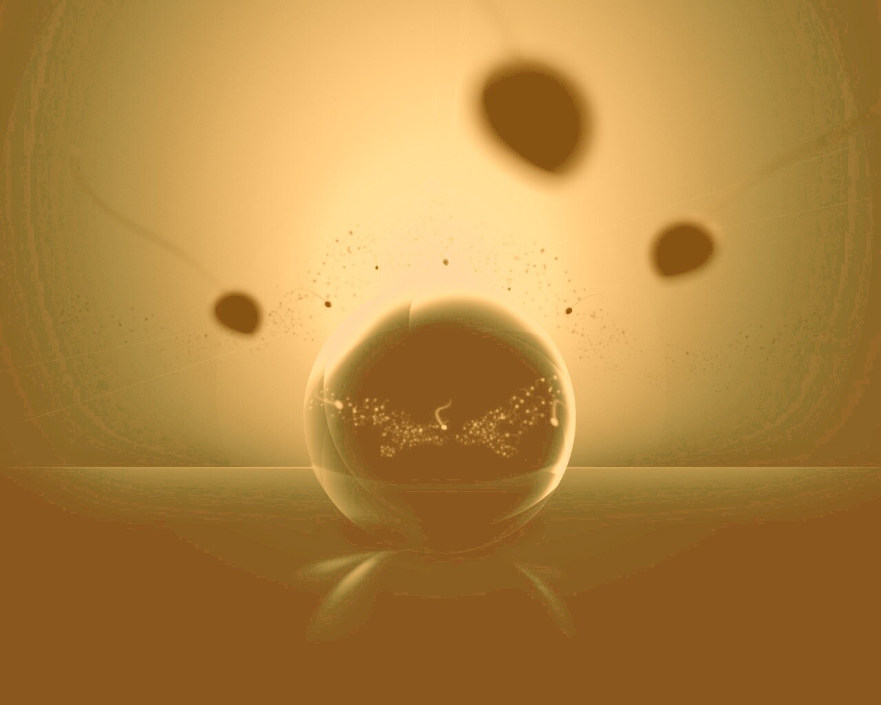 Оплодотворение обои