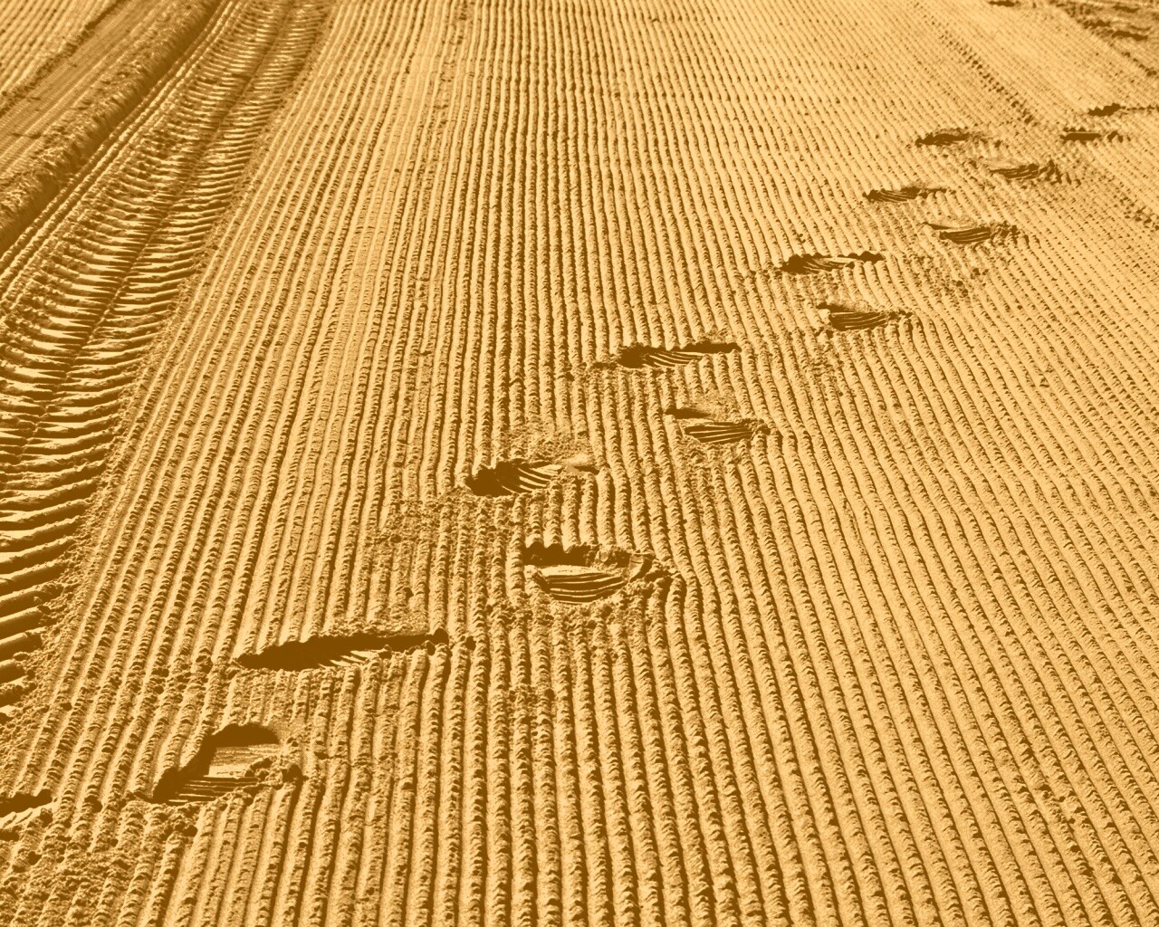 Следы на песке обои