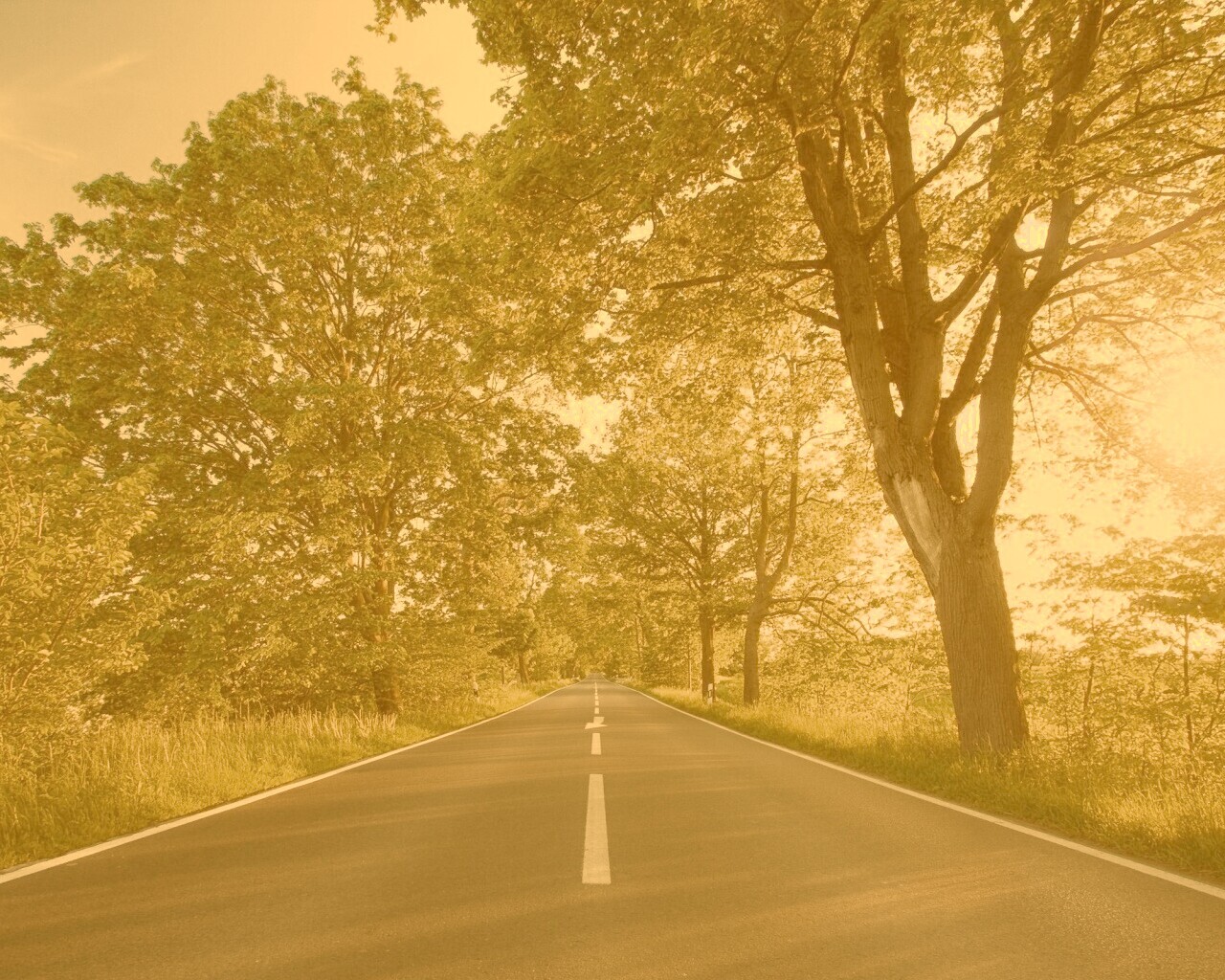 Прямая дорога обои