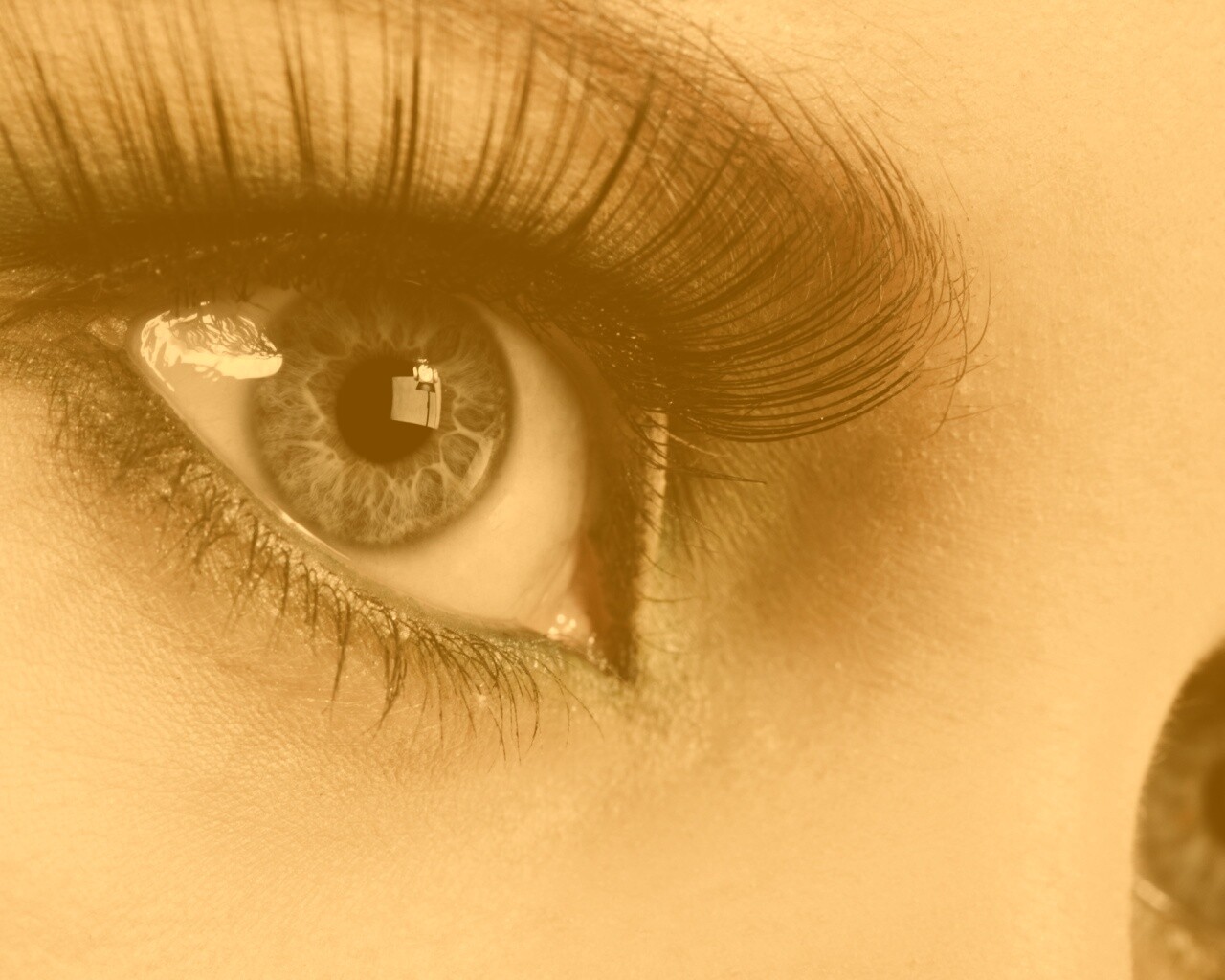 Глаза цвета стали обои