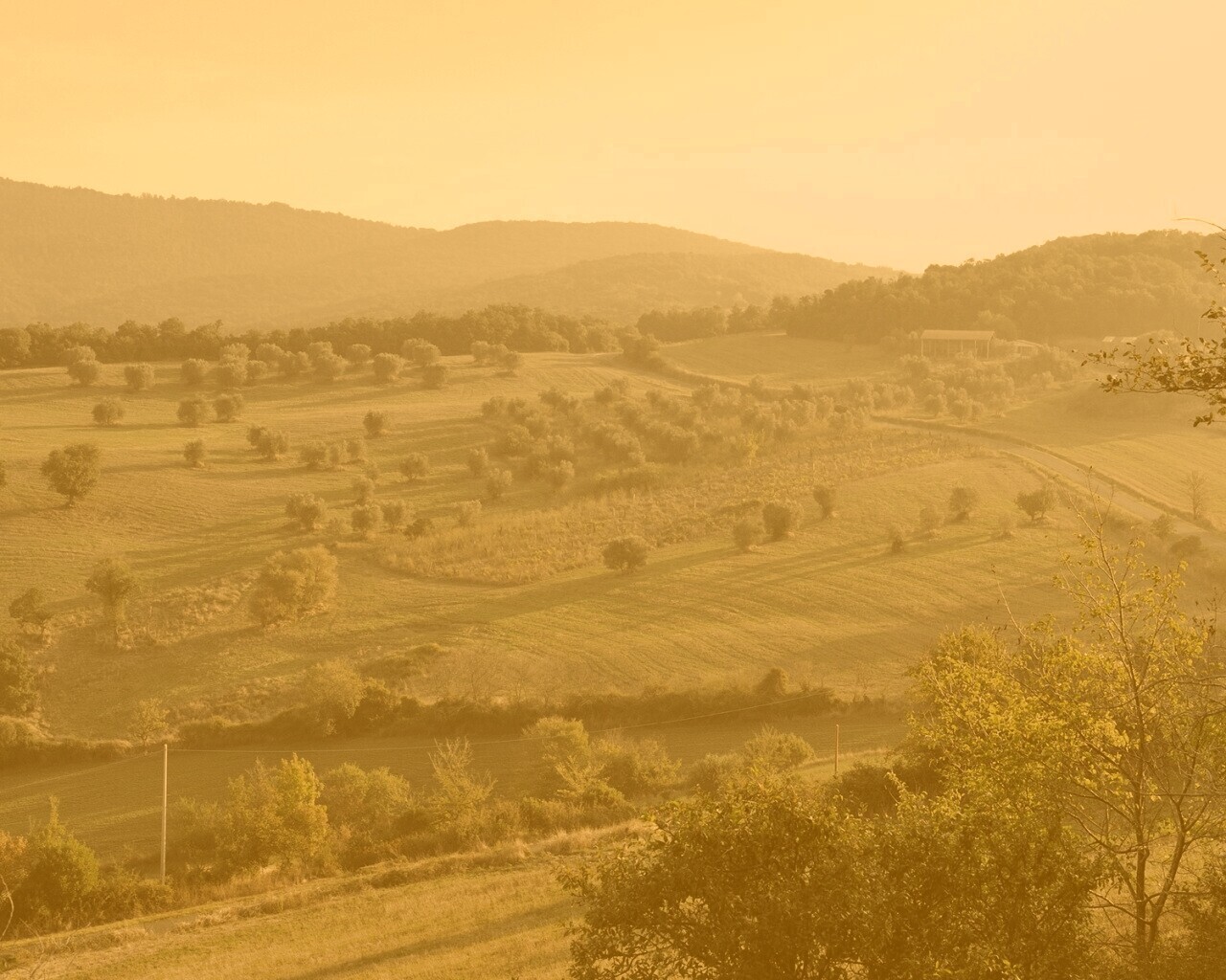 Ферма в долине обои