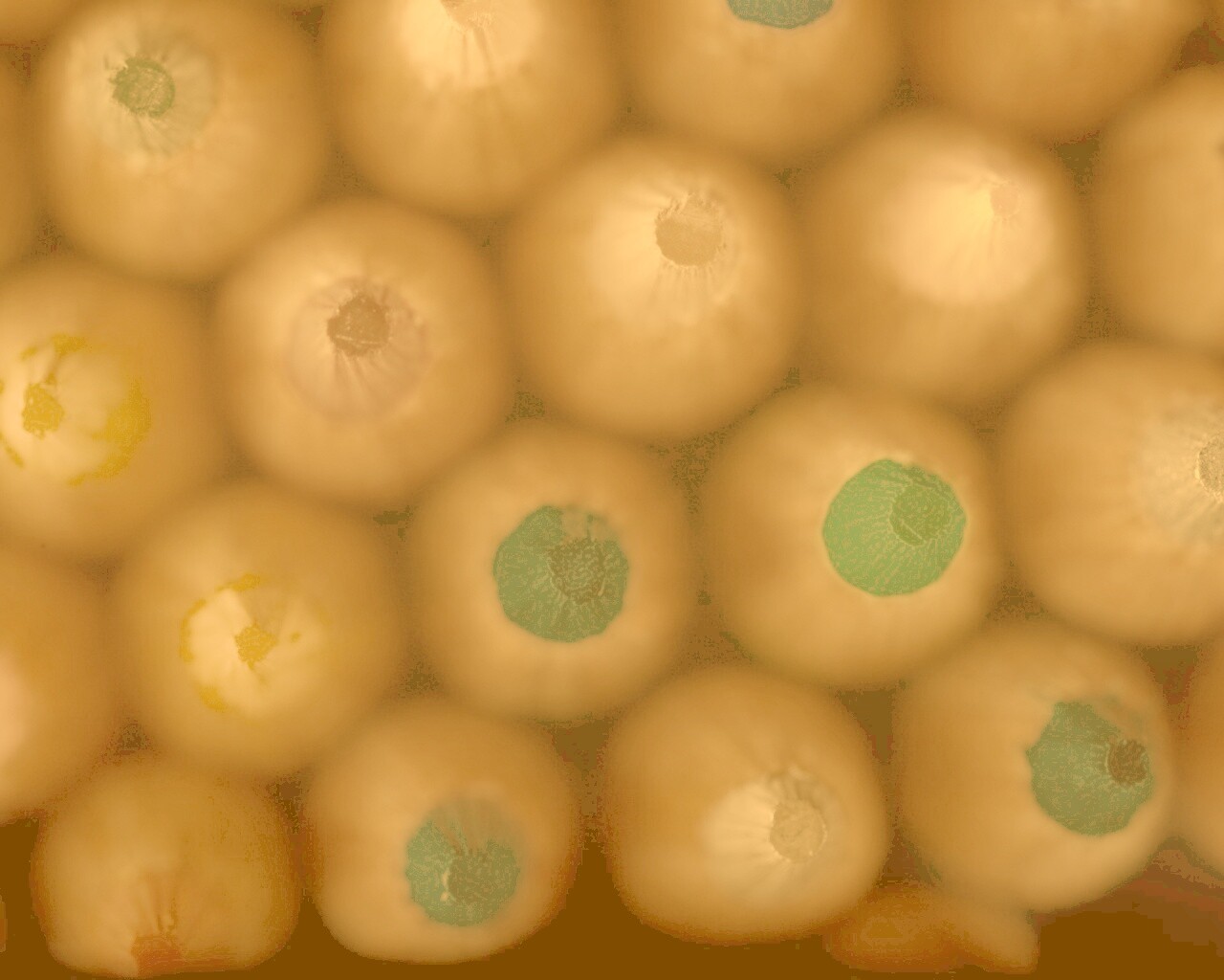 Карандаши обои