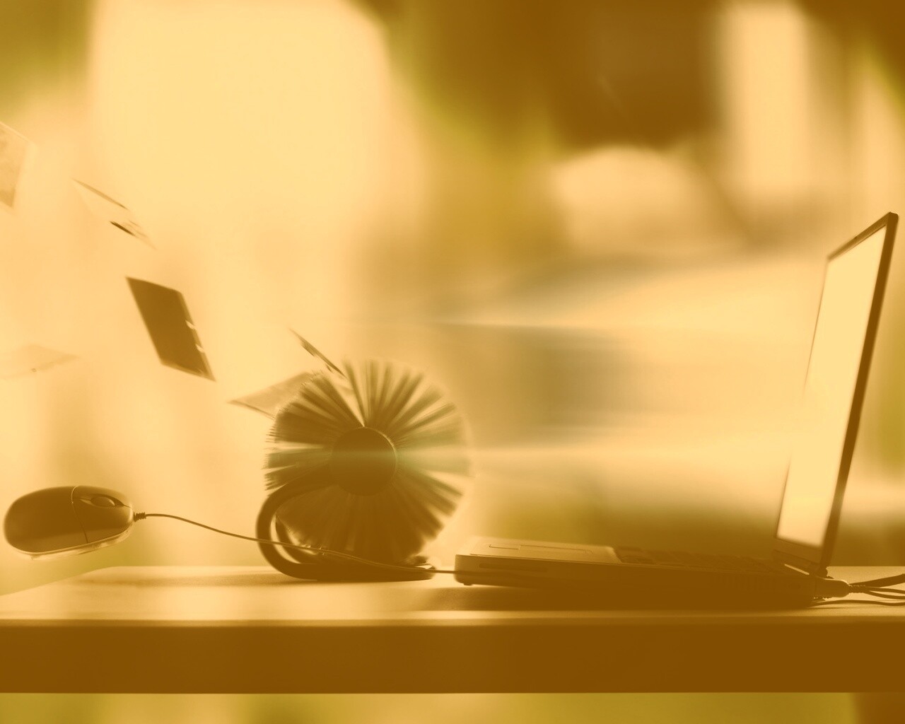 Дуновение цифрового ветра обои