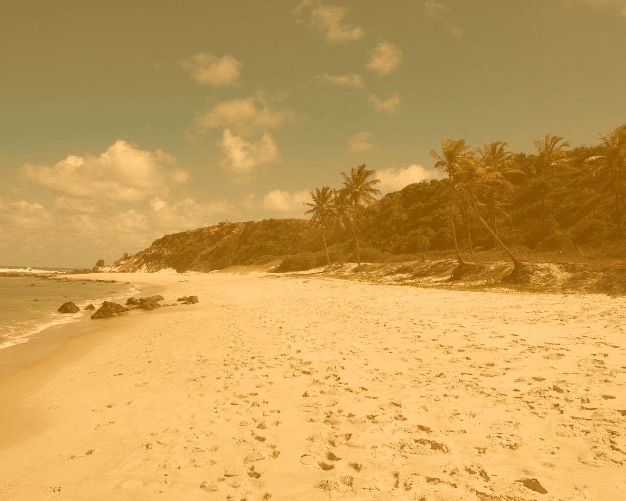 Туры в Бразилию в Лондрину обои