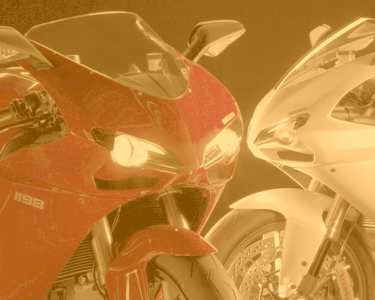 Красавцы  обои