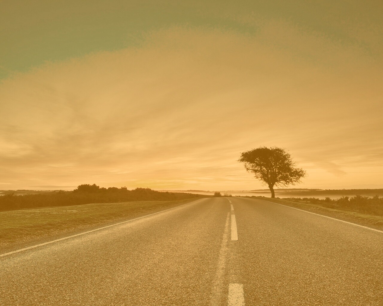 Дорога обои