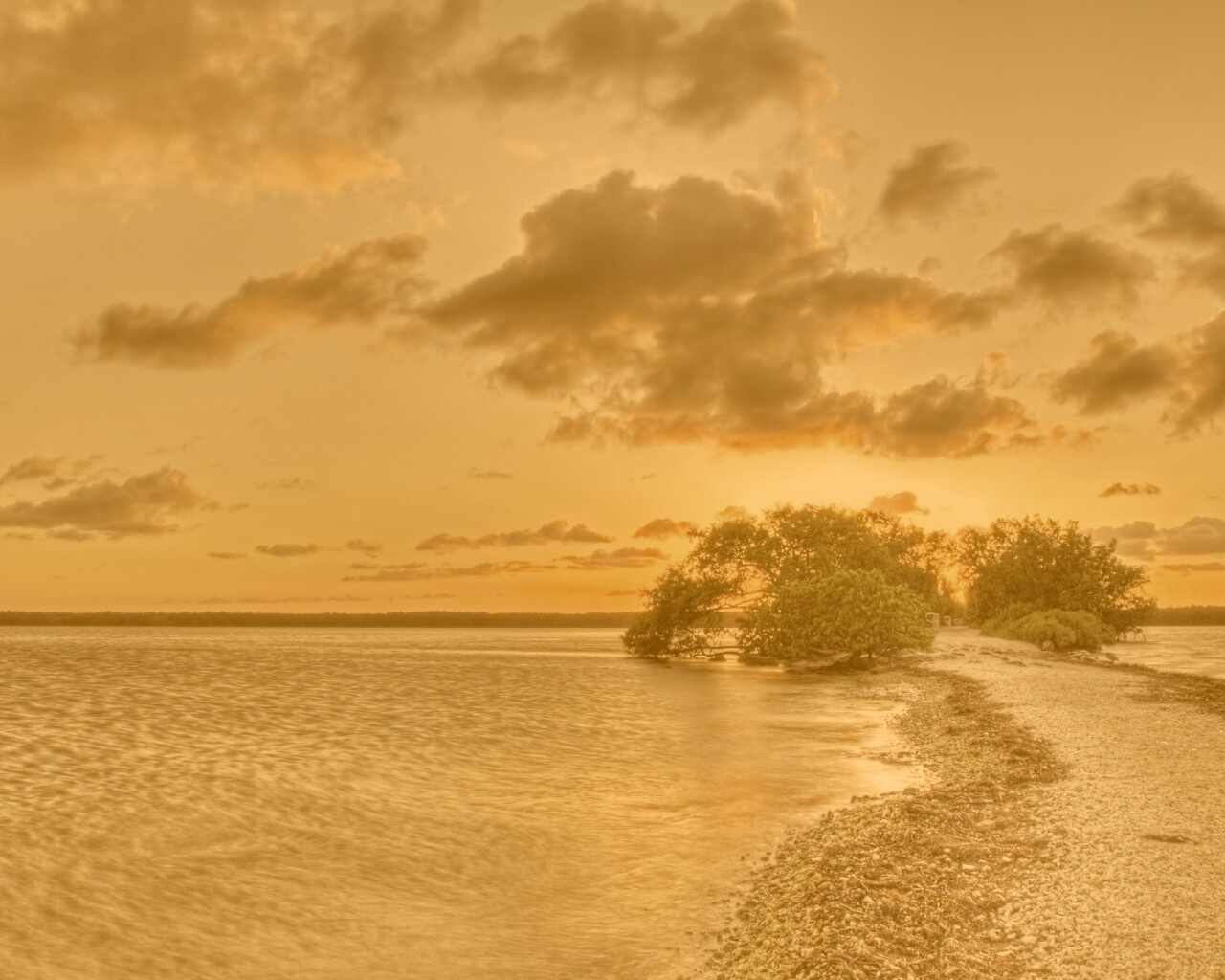 Побережье на закате обои