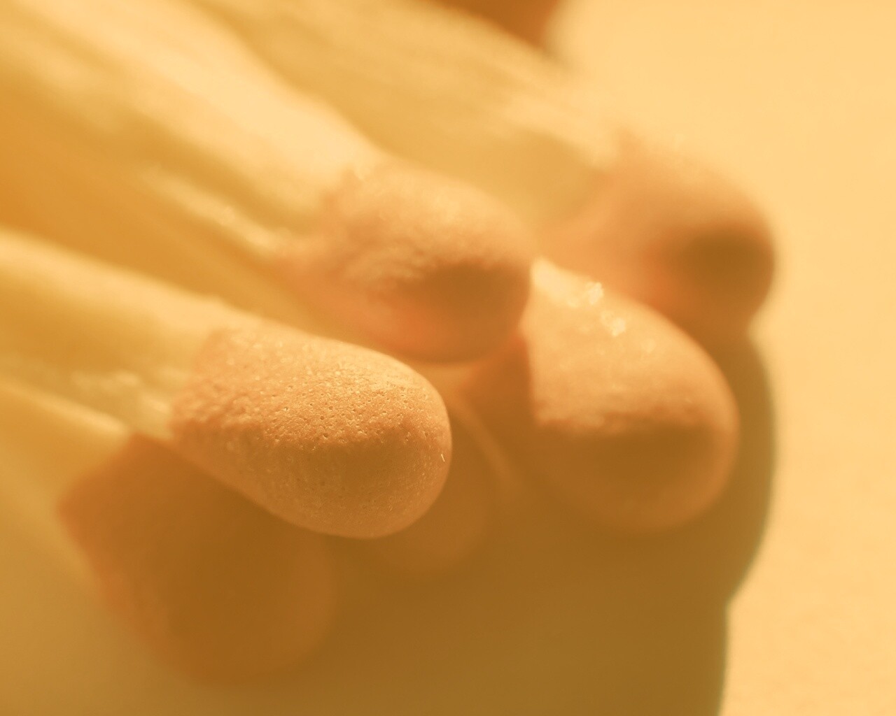 Спички в макро съемке обои