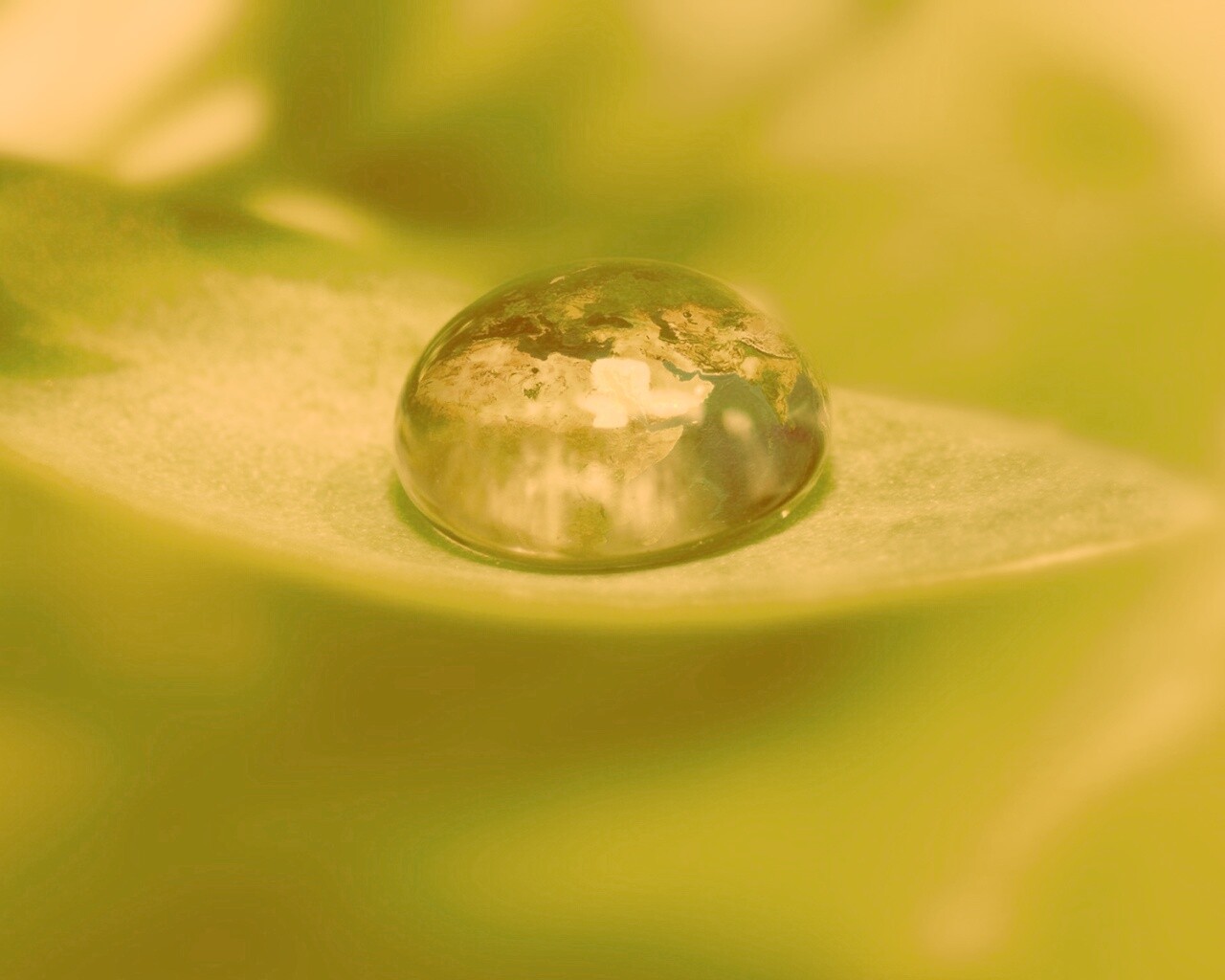 Целый мир в капле воды обои