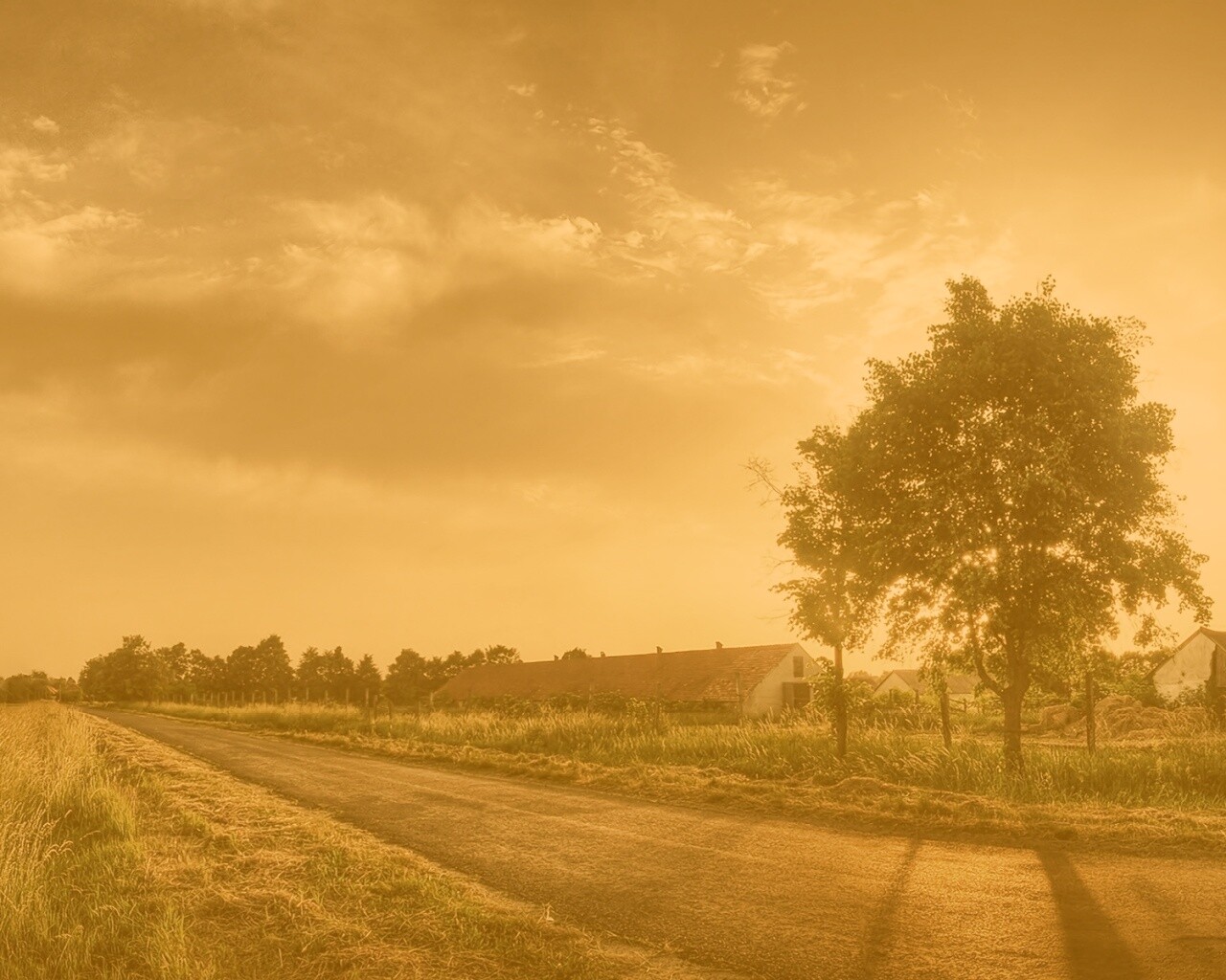 Закат на фоне дерева в HDR обои