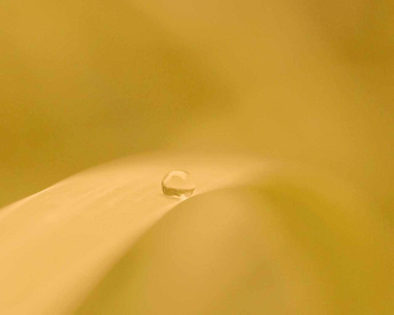 Капелька воды обои