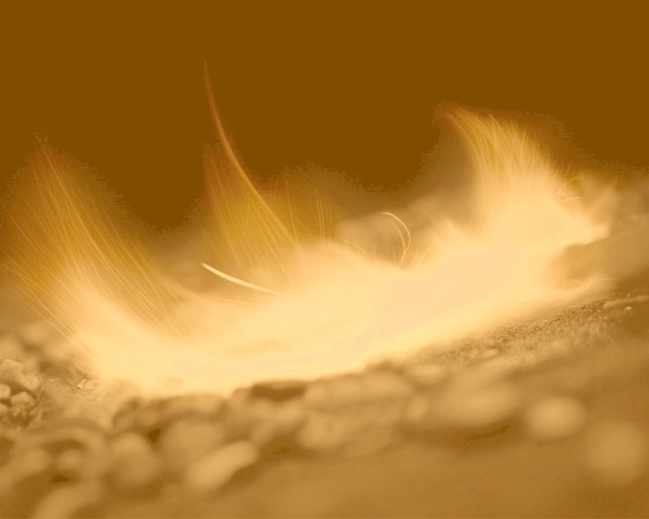 Вспышка обои