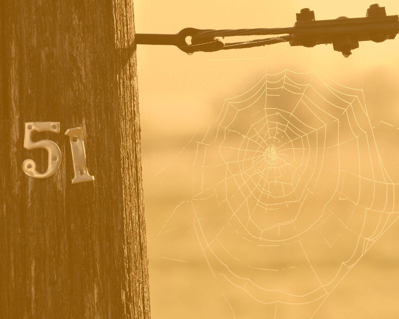 Паутина 51 обои